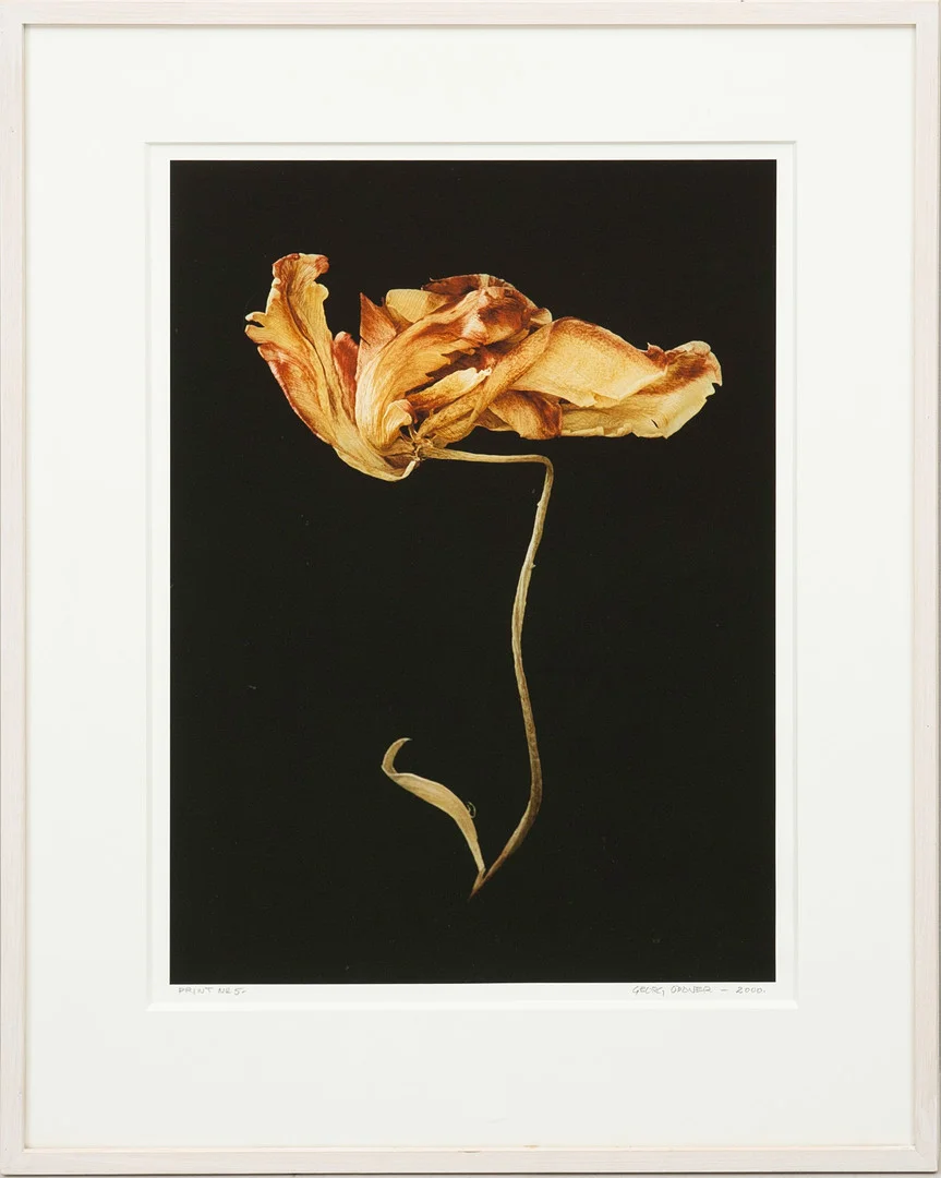 GEORG ODDNER. "Öppet Tempus", nr:1, print nr: 5, signerat och darerat, 2000, samt à tergo 2004. — Photography — Auktionshuset Kolonn