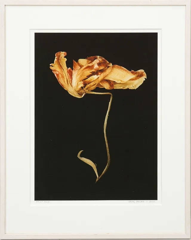 GEORG ODDNER. "Öppet Tempus", nr:1, print nr: 5, signerat och darerat, 2000, samt à tergo 2004.