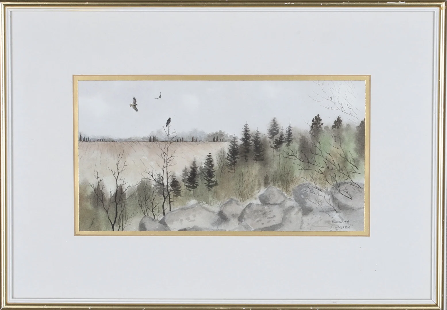KENNETH LINDGREN. Akvarell, fåglar i landskap, signerad. — Paintings — Gomér & Andersson Norrköping