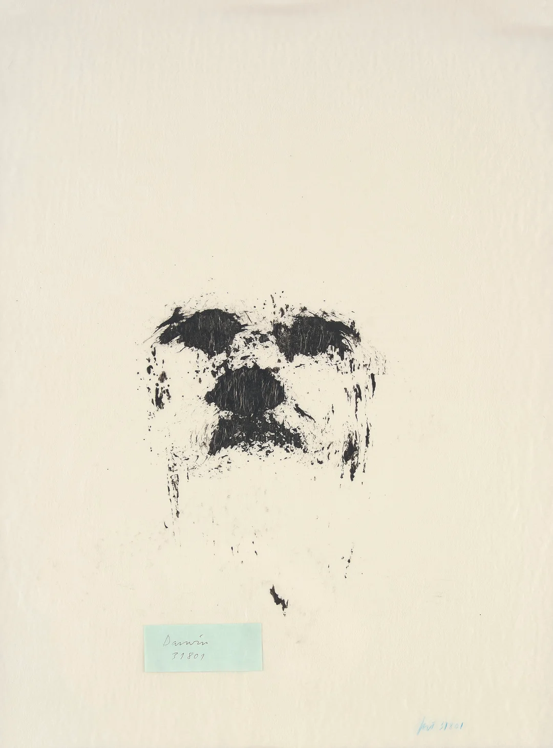 Torriset, Kjell — "Darwin" 2001 — Kunst/Øvrig billedkunst — Blomqvist