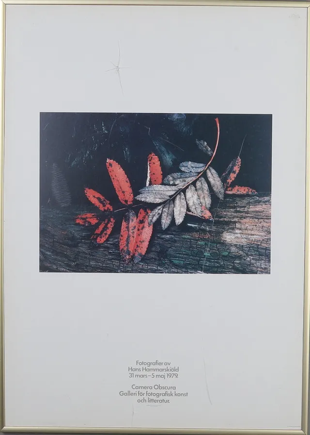 UTSTÄLLNINGSAFFISCH, Fotografier av Hans Hammarskiöld 31 mars-5 maj 1979, Camera Obscura Galleri för fotografisk konst och litteratur.
