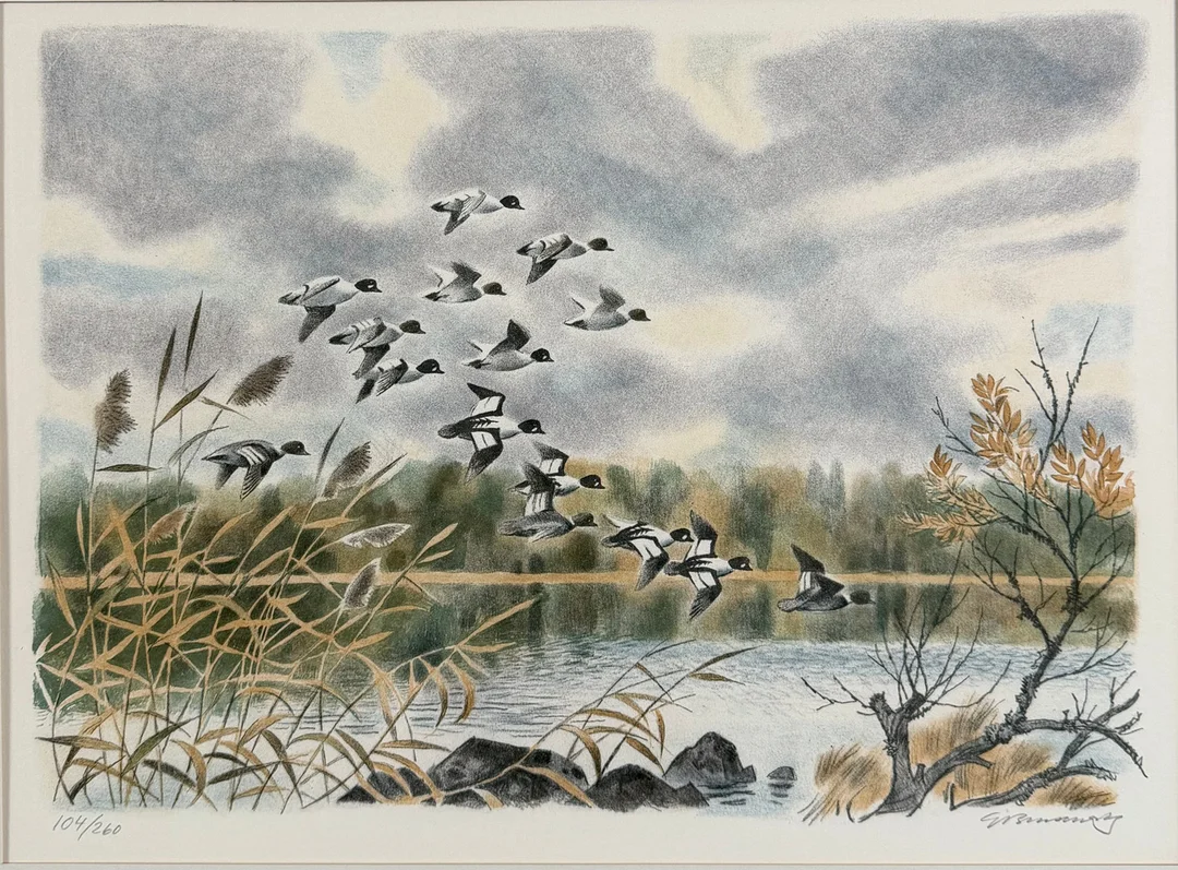 GUNNAR BRUSEWITZ. Komposition med sjöfåglar, färglitografi, signerad och numrerad 104/260. — Engravings & Prints — Skandia Auktion