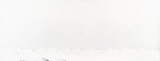 Tveter, Kåre — Vinter på Svalbard, 1990-tallet