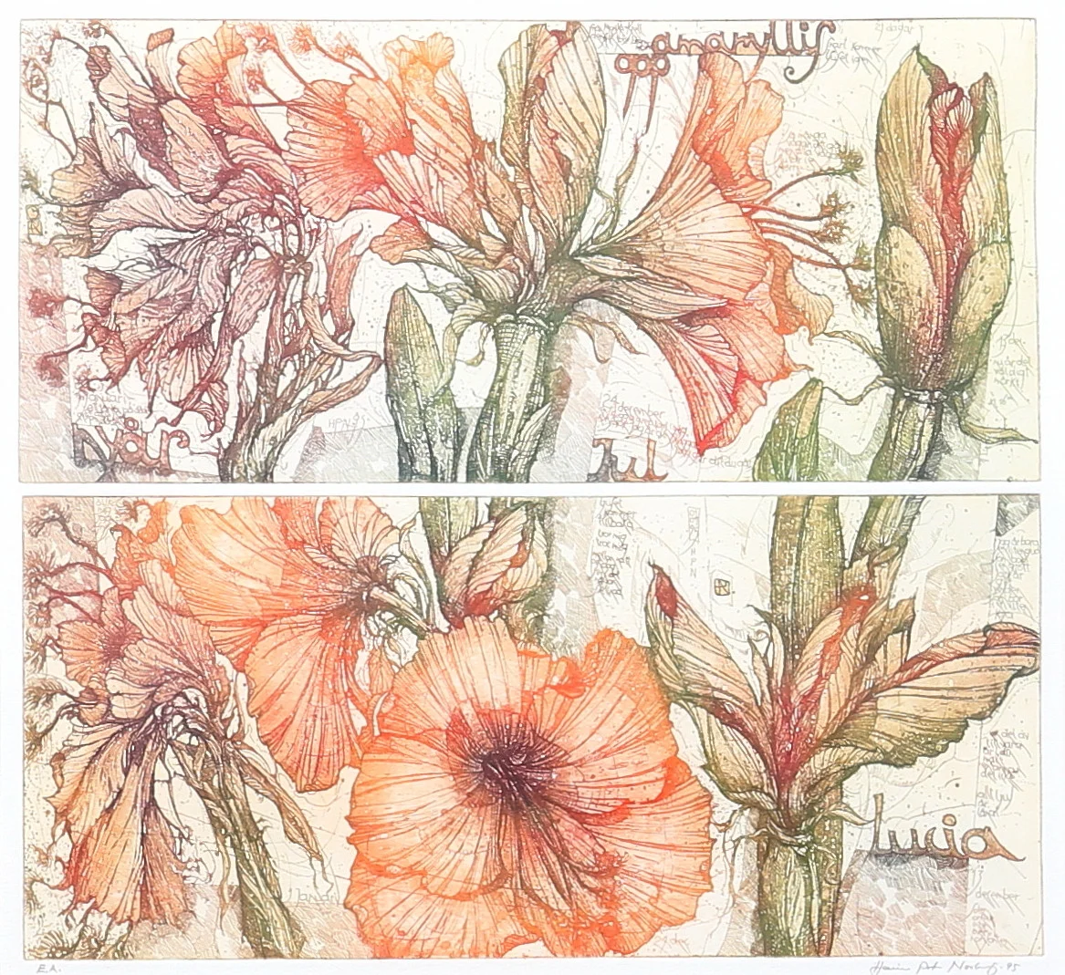 HEINER PETER NORBERG. "21 dagar amaryllis". Färgetsning, EA, signerad och daterad -95. — Engravings & Prints — Auktionshuset Thelin & Johansson