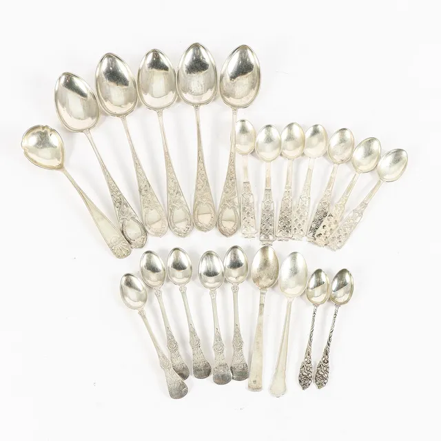 SKEDAR SILVER.