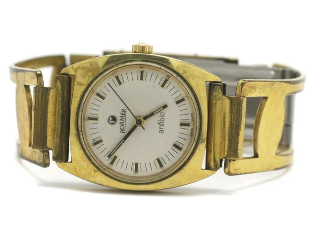 ROAMER, Anfibio, Ref nr. 496-1230.005, damur, 25,5 mm, doublé, manuell, plexiglas, skadad urtavla, ca 1970, metallänk ej original.