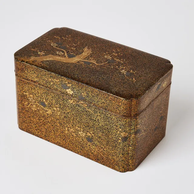 A Japanese Lacquer Accessory Box 'Tebako'.