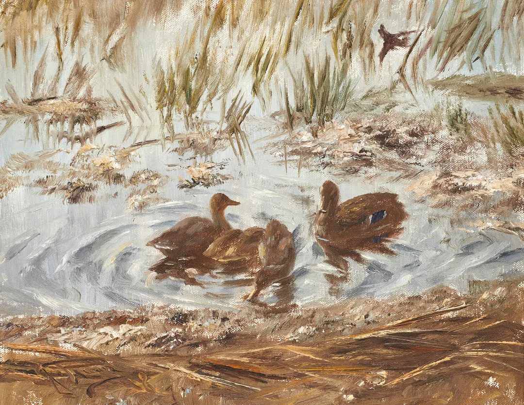 JOHANNES RAVN (Norge, 1922–1991). Änder i vattenbryn, signerad, olja på duk. — Paintings — Crafoord Auktioner Stockholm