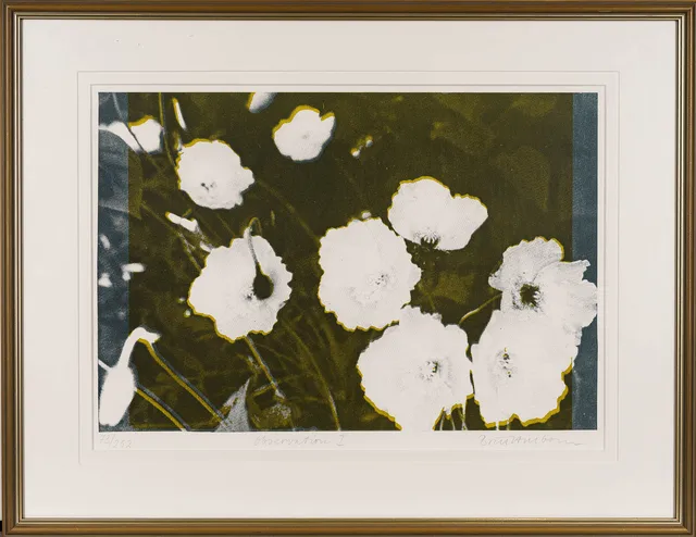BRITT HILLBOM. Offsettryck, "Observation 1", Numrerad: 73/252, Signerad.