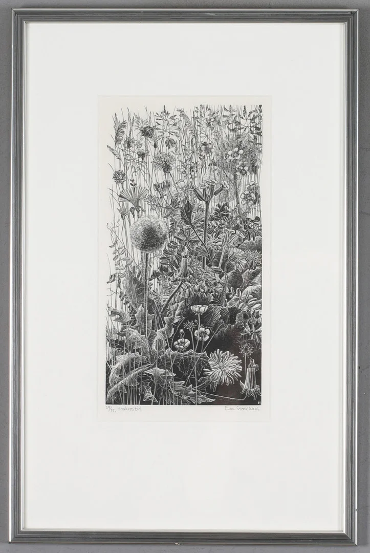 EVA STOCKHAUS. "Maskrostider", träsnitt, signerad och numrerad 39/75. — Engravings & Prints — Stadsauktion Sundsvall