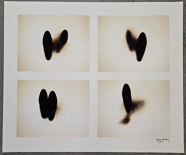 MARIA FRIBERG. "Endless limit". Fotografiskt blad, signerad Maria Friberg och numrerad 44/120.