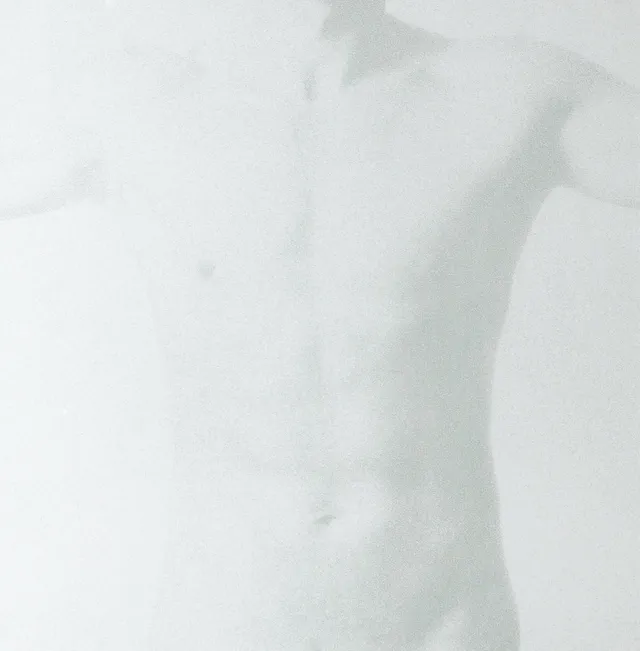 Lars Nilsson, Torso.