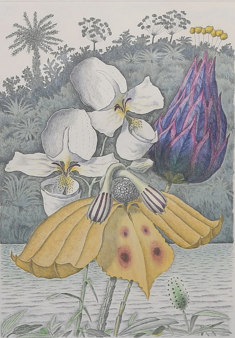KARL AXEL PEHRSON. Färglitografi, provtryck, signerad och daterad 73. — Engravings & Prints — Gomér & Andersson Linköping