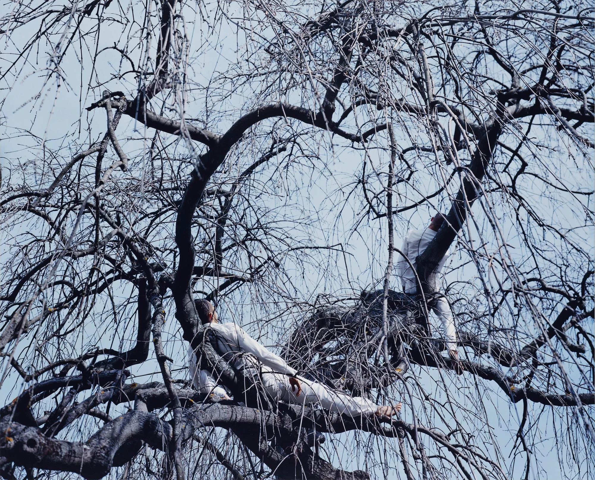 Maria Friberg, "Alongside Us #4", 2007. — Bukowskis