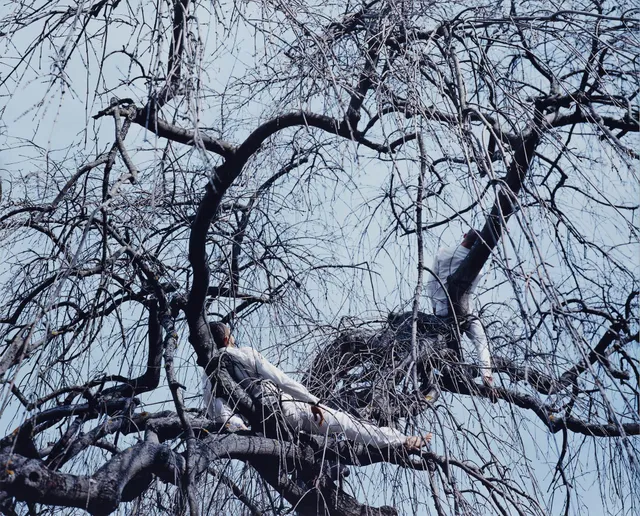 Maria Friberg, "Alongside Us #4", 2007.