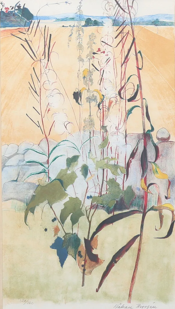HÅKAN THORSÉN. Fältblommor. Färglitografi, signerad och numrerad 320/360.