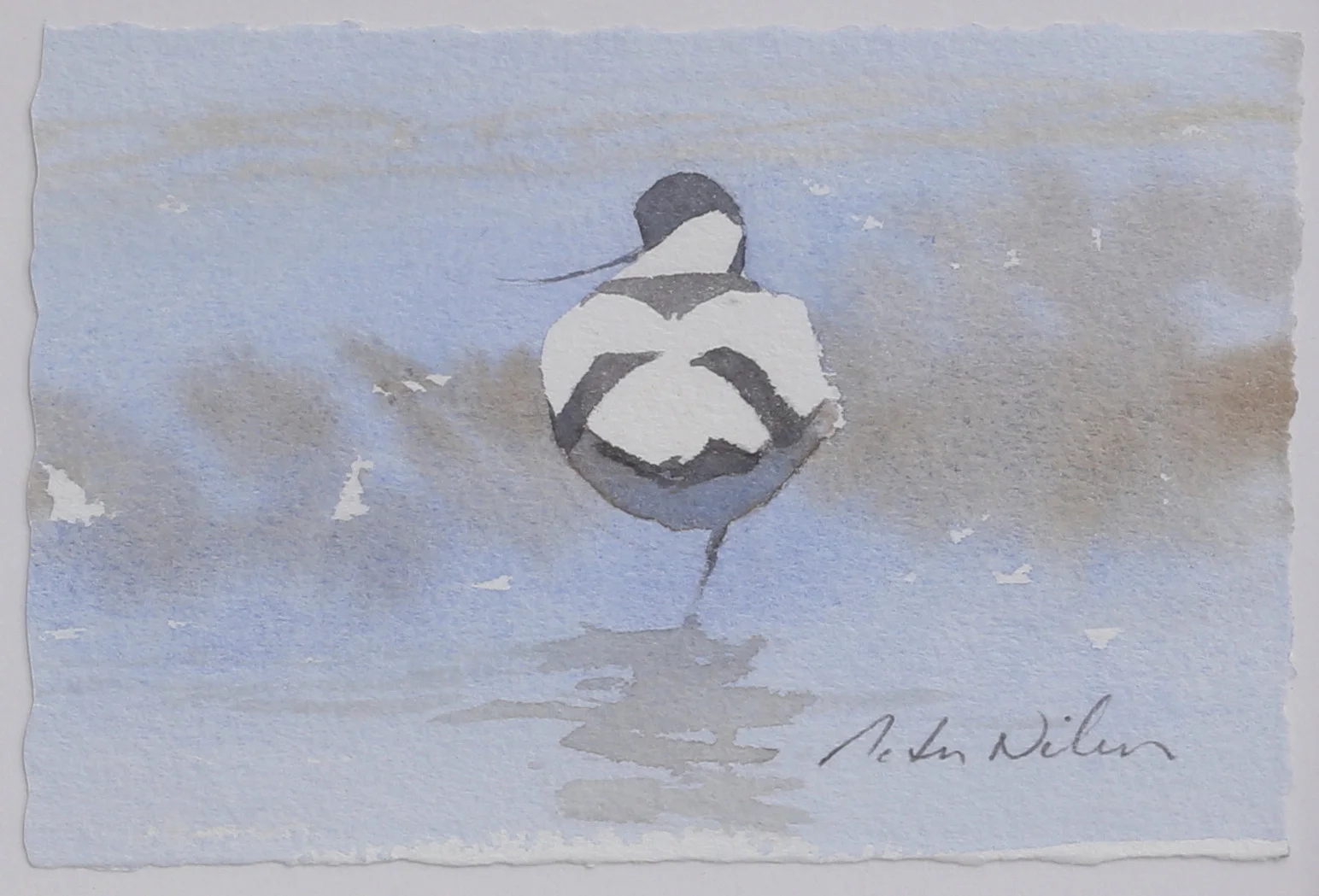 PETER NILSSON. Skärfläcka. Akvarell, signerad. — Paintings — Auktionshuset Thelin & Johansson