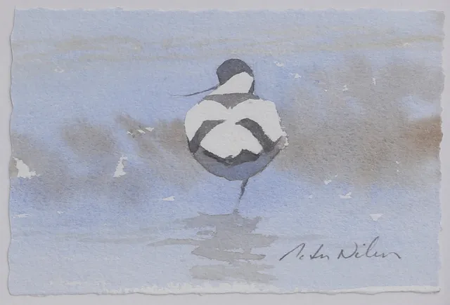 PETER NILSSON. Skärfläcka. Akvarell, signerad.