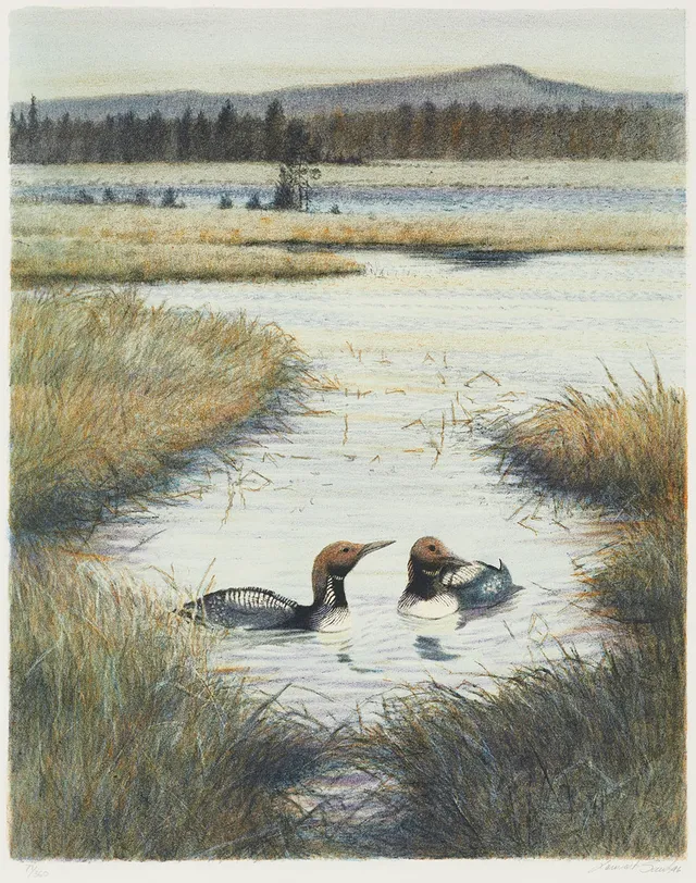 LENNART SAND. "Änder i vattendrag", signerad, daterad 96, numrerad 71/360, färglitografi.
