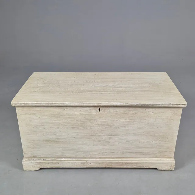 19TH CENTURY PAINTED TRUNK.