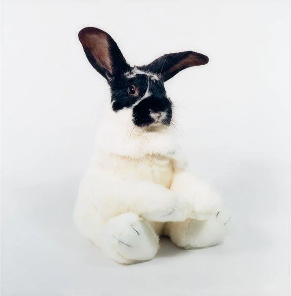 Nathalia Edenmont, "Toy-Boy", 2004. — Bukowskis
