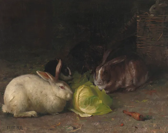 Mehl, Eilert — Kaniner, 1889