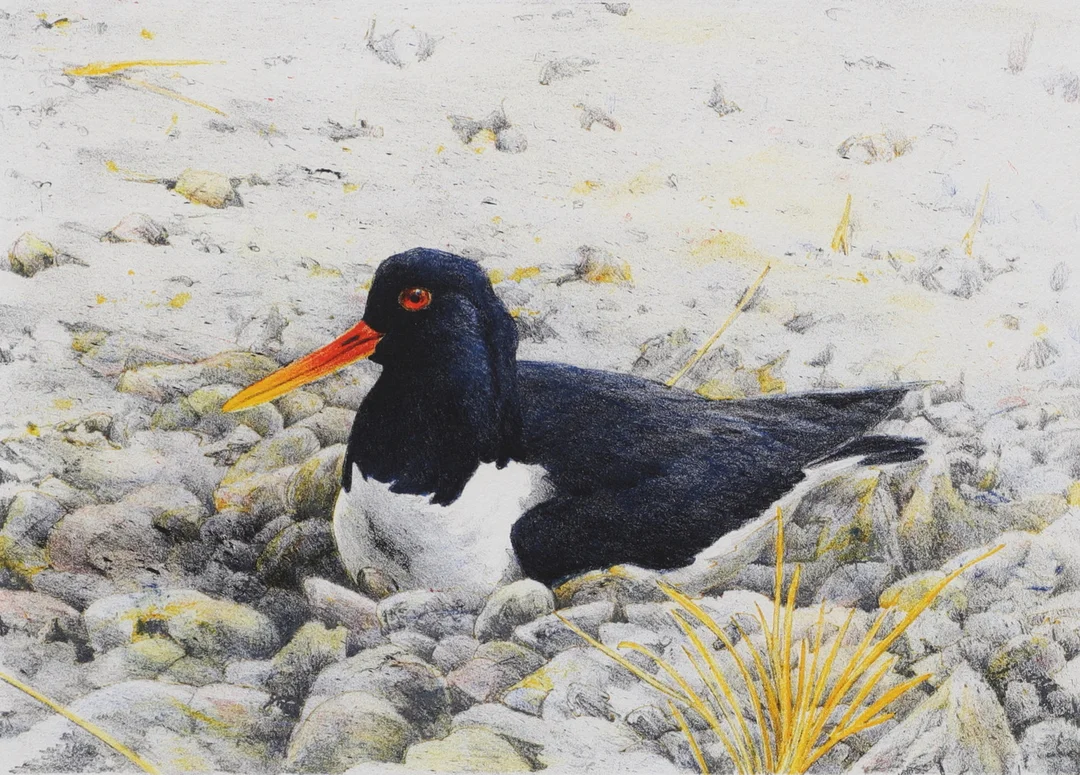 GUNNAR PETTERSSON. Strandskata. Färglitografi, signerad och numrerad 19/300. — Engravings & Prints — Växjö Auktionskammare