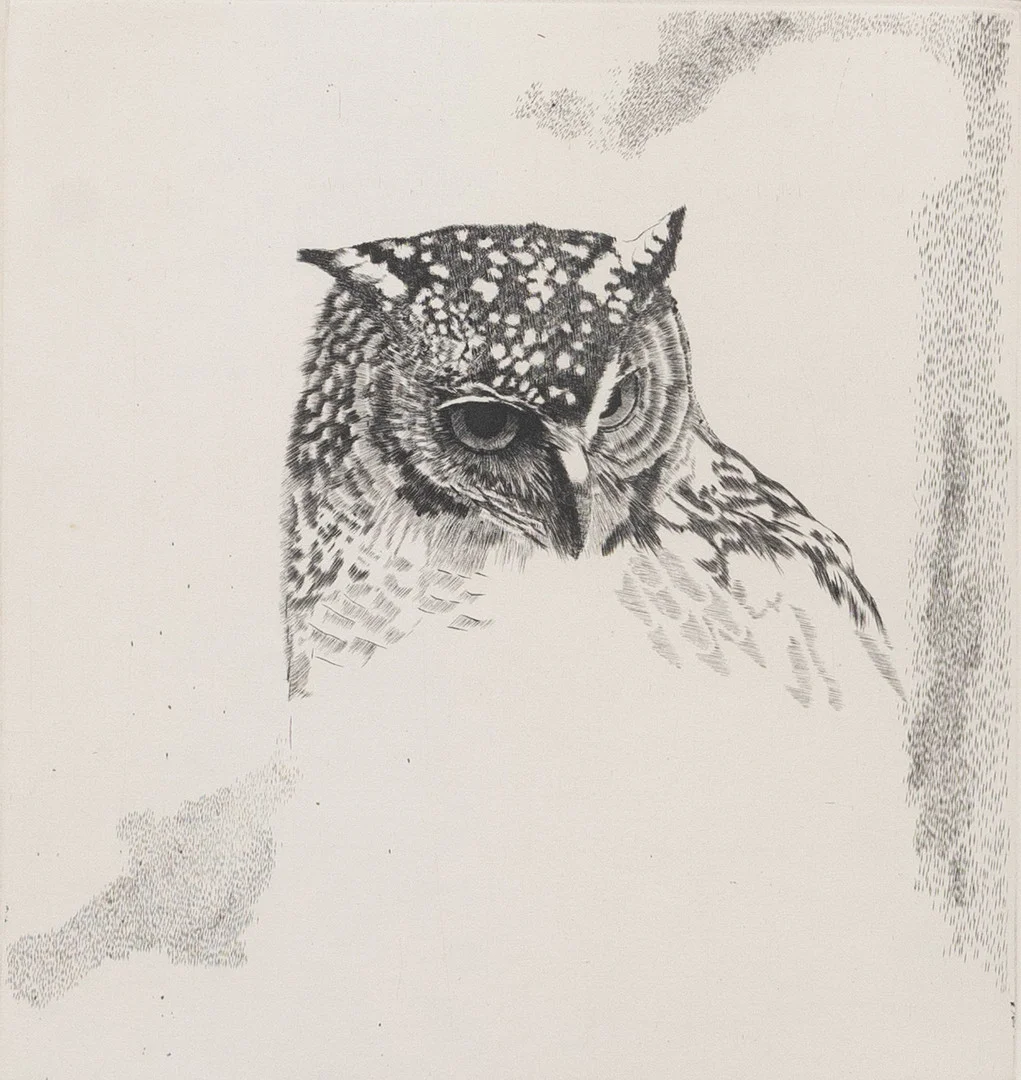 BERTIL MAURITZON. Uggla, kopparstick nr 210/300, signerad och daterad 84. — Engravings & Prints — Garpenhus Auktioner