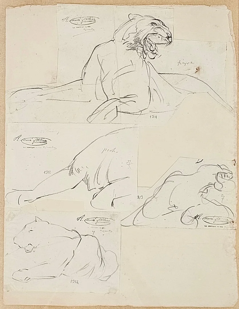 RAMON MARTÍ ALSINA. ESTUDIO DE TIGRES, CUATRO DIBUJOS A CARBONCILLO SOBRE PAPEL. — Drawings — Barcelona Auctions