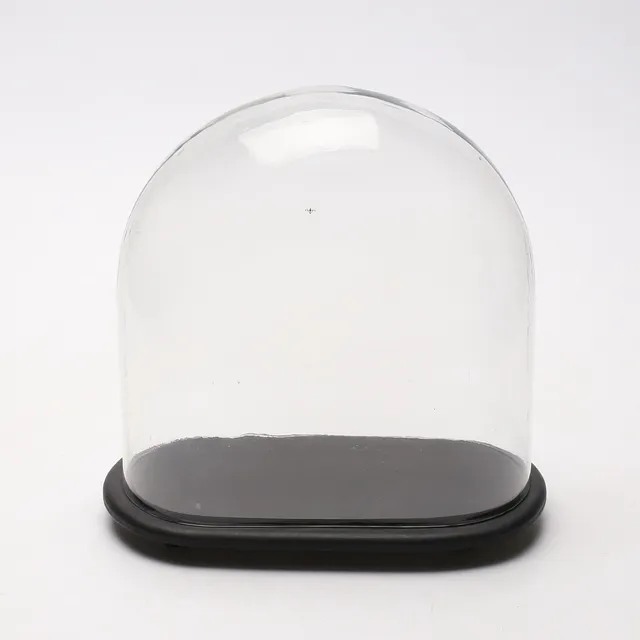 KUPOL, glas.