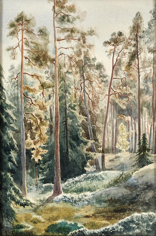 ELLEN JOLIN (1854-1939). Skogsmotiv, signerad och daterad 1882, akvarell.