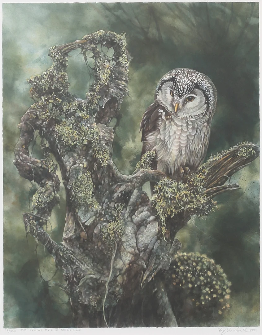 BO LUNDWALL. Färglitografi, uggla, signerad, daterad 1994, numrerad 77/250. — Engravings & Prints — Auktionshuset Thelin & Johansson