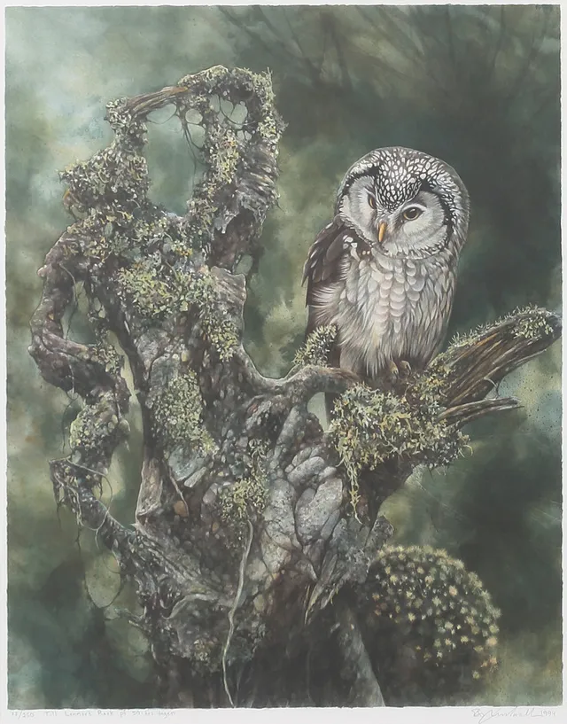 BO LUNDWALL. Färglitografi, uggla, signerad, daterad 1994, numrerad 77/250.