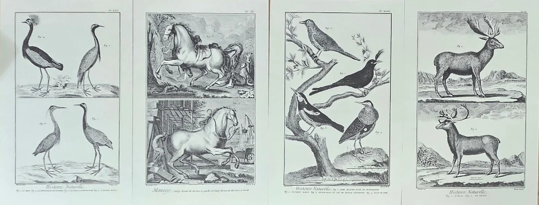 Cuatro grabados procedentes del libro "Recueil de Planches sur Les Sciences, les arts libéraux at les arts mechaniques". — Engravings & Prints — Arce Auctions