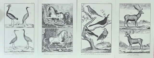 Cuatro grabados procedentes del libro "Recueil de Planches sur Les Sciences, les arts libéraux at les arts mechaniques".