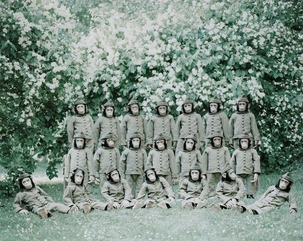 Helena Blomqvist, "The Liberation Infantrie", 2008. — Bukowskis