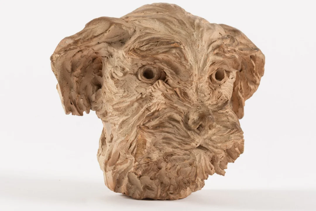 Ubekendt kunstner. Hundehoved. Terracotta sign — Paintings and sculptures/Sculptures — Lauritz