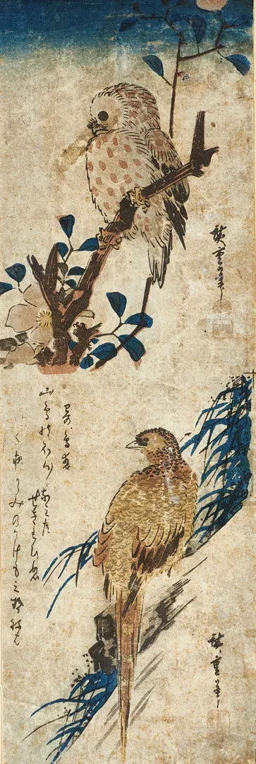 ANDO HIROSHIGE (1797-1858), uggla och fasan på kamelia, sällsynt originalträsnitt ca 1832-35.