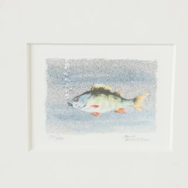 ARNE ANDERSSON. Fisk, färglitografi, signerad.