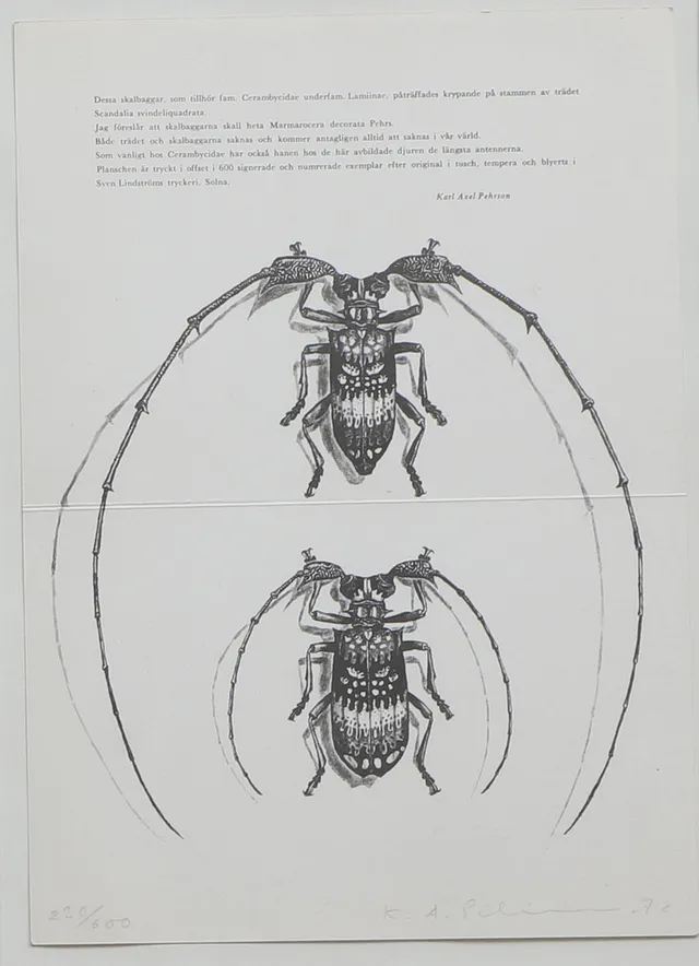 KARL AXEL PEHRSON. Grafiskt blad, skalbaggar, signerat och daterat 72, numrerat 230/600.