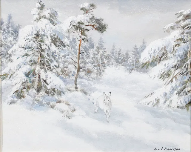 ARVID ANDERSSON. Hare i vinterskrud, olja på duk, signerad.