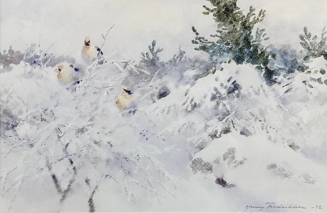 HENRY FREDRIKSSON. FÄRGLITOGRAFI, "Sidensvansar i vinterland", signerad, numrerad, daterad-92.