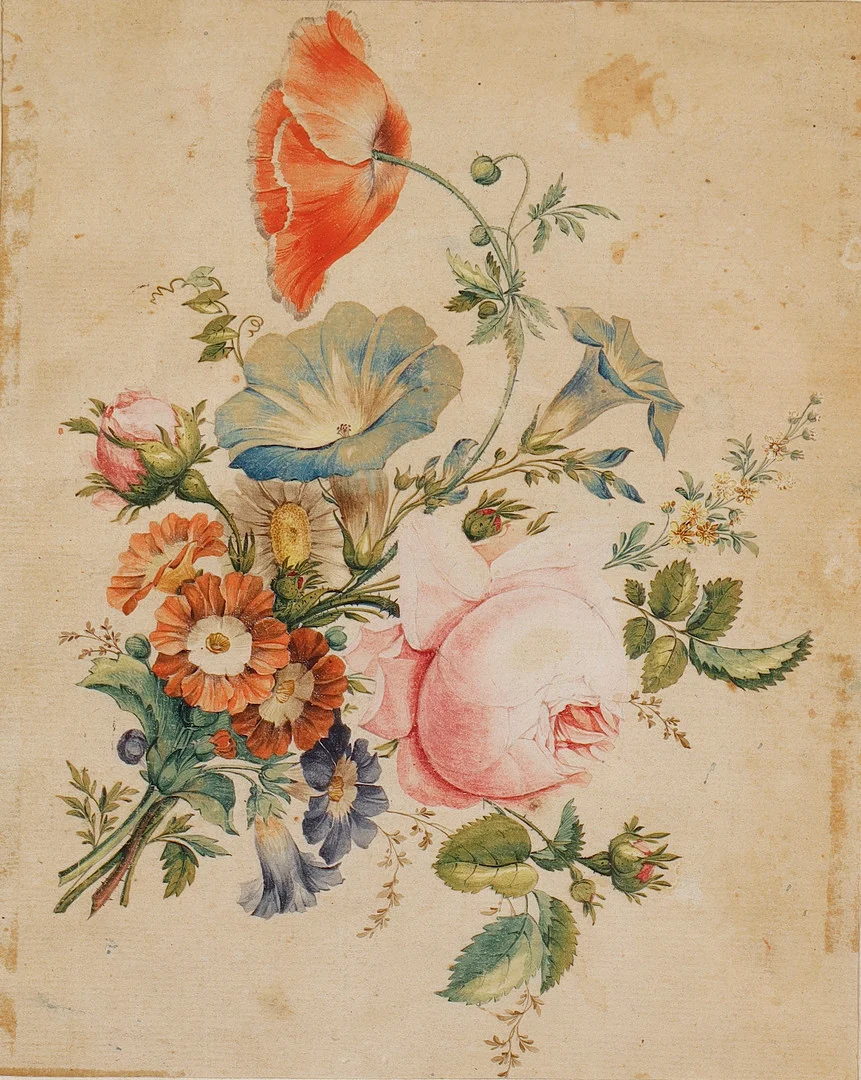 ESCUELA PROBABLEMENTE CENTROEUROPEA, DEL SIGLO XVIII. Flores. — Drawings — Barcelona Auctions