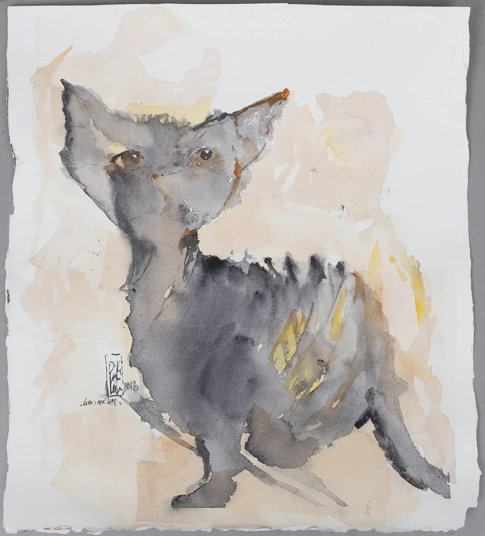 LEILA VAN DYKE. "Devon rex art", akvarell, signerad och daterad 2018. — Paintings — Gomér & Andersson Norrköping