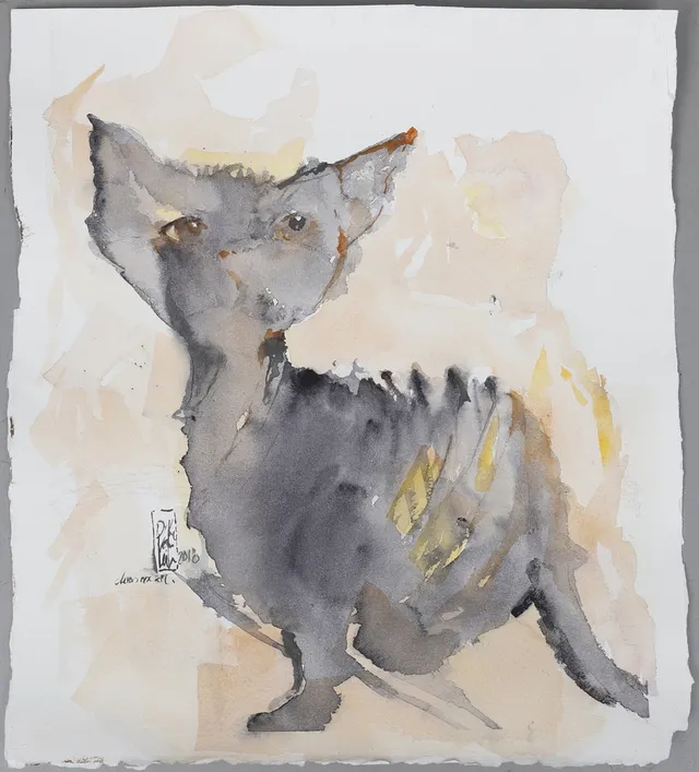 LEILA VAN DYKE. "Devon rex art", akvarell, signerad och daterad 2018.