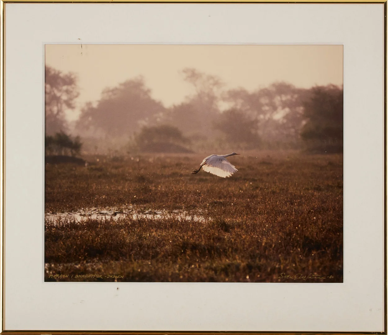 SVEN GILLSÄTER (1921–2001). "Morgon i Bharatpur- Indien ", chibachrome, signerad, -80. — Photography — Stockholms Auktionsverk Magasin 5
