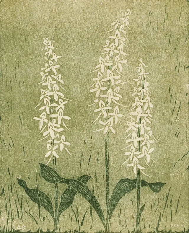 ANNIE BERGMAN (Liège, Belgien 1889 -1987 Stockholm), (4) "Nattvioler", "Ljung", "Bukett med nejlikor", "Kråkvioler", signerade, färgträsnitt.
