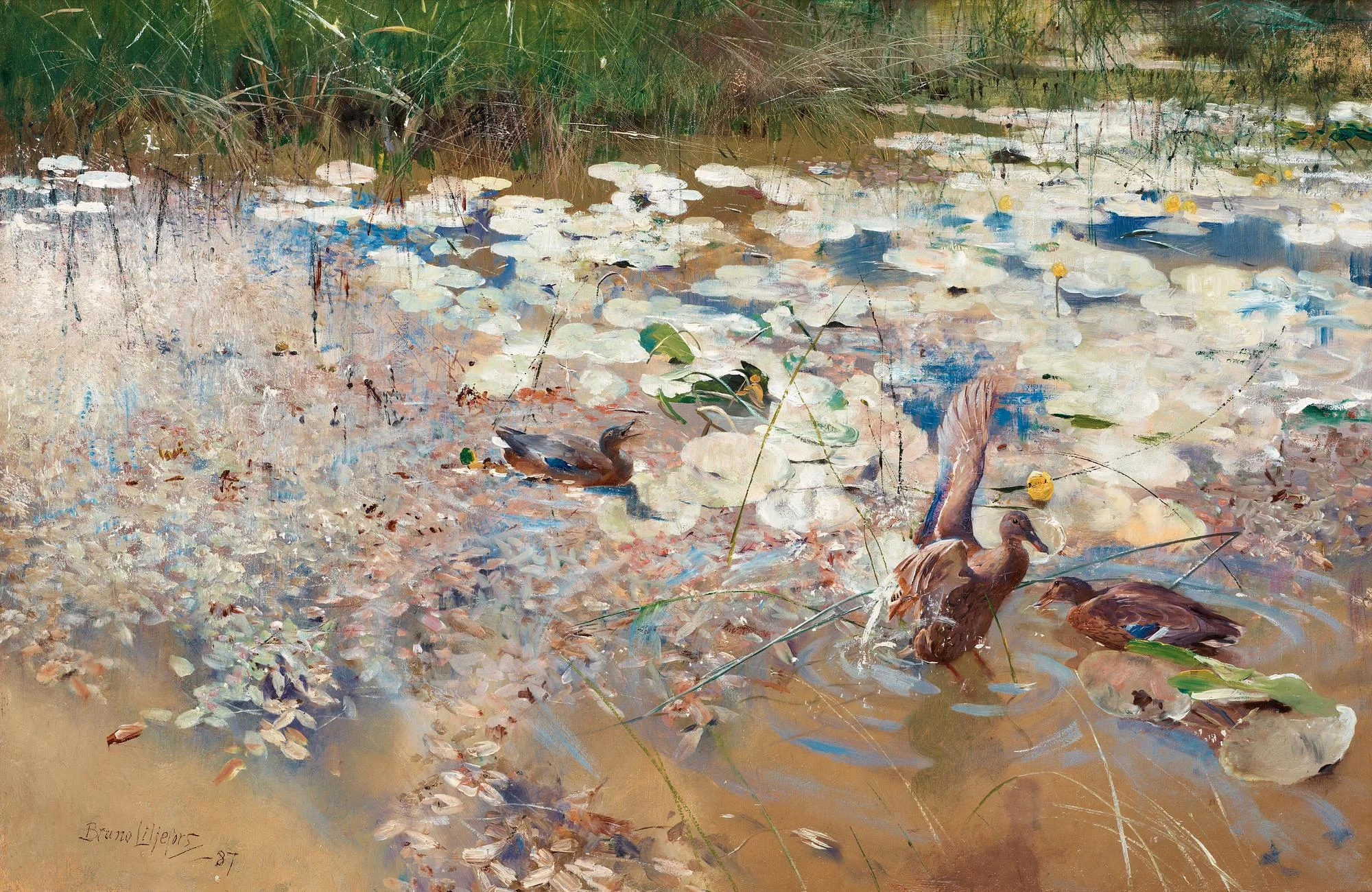 Bruno Liljefors, "Änder". — Bukowskis
