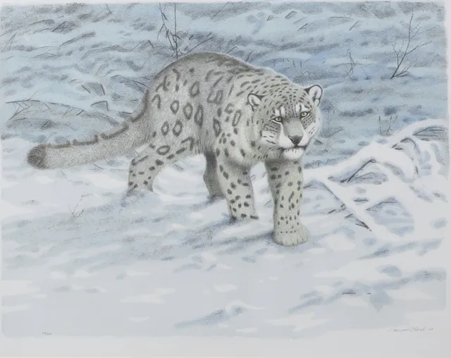 LENNART SAND. Snöleopard. Färglitografi, signerad, numrerad 156/360 och daterad -07.