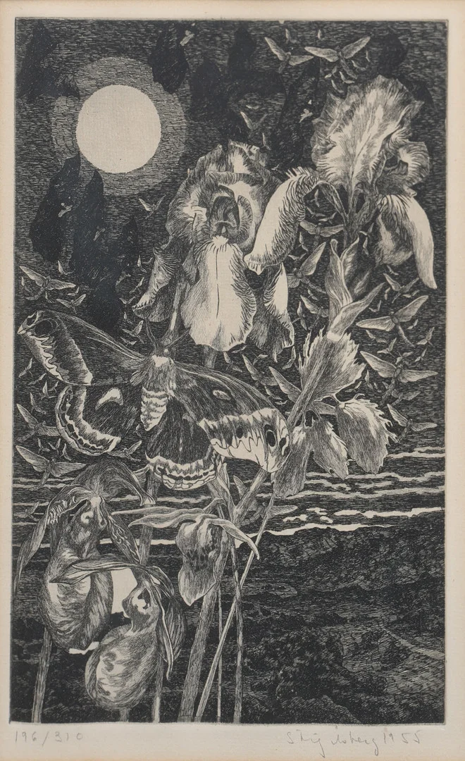 STIG ÅSBERG (1909-1968). Naturmotiv, etsning, signerad, numrerad 196/310, daterad 1955. — Engravings & Prints — Garpenhus Auktioner